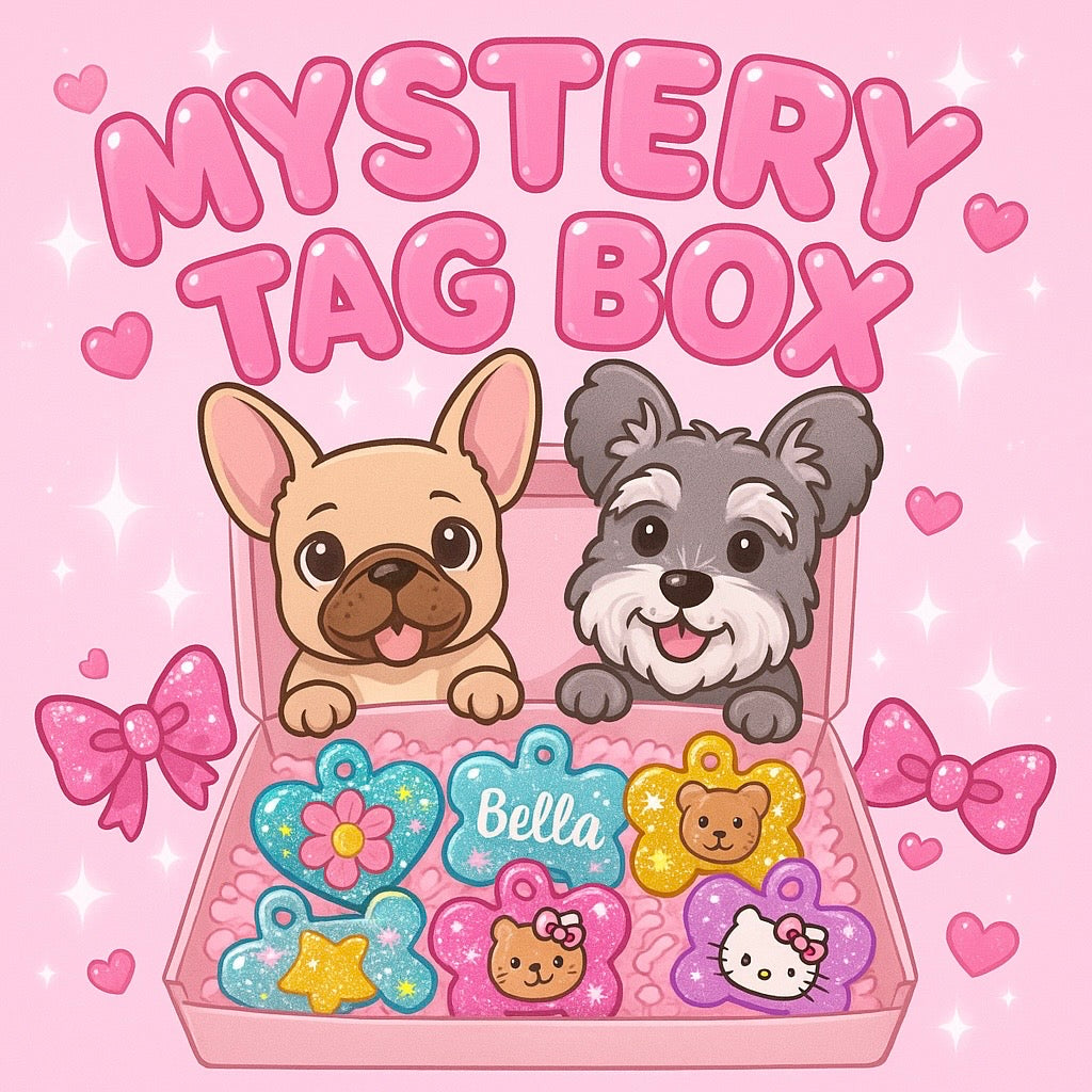 MYSTERY TAG BOX