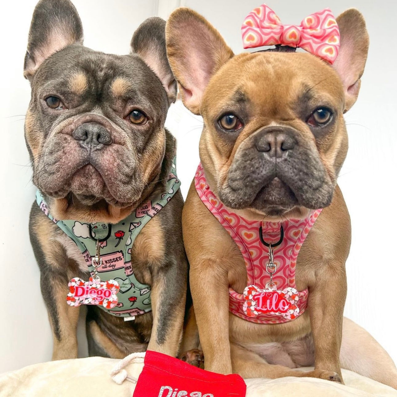 RED HEARTS TAG