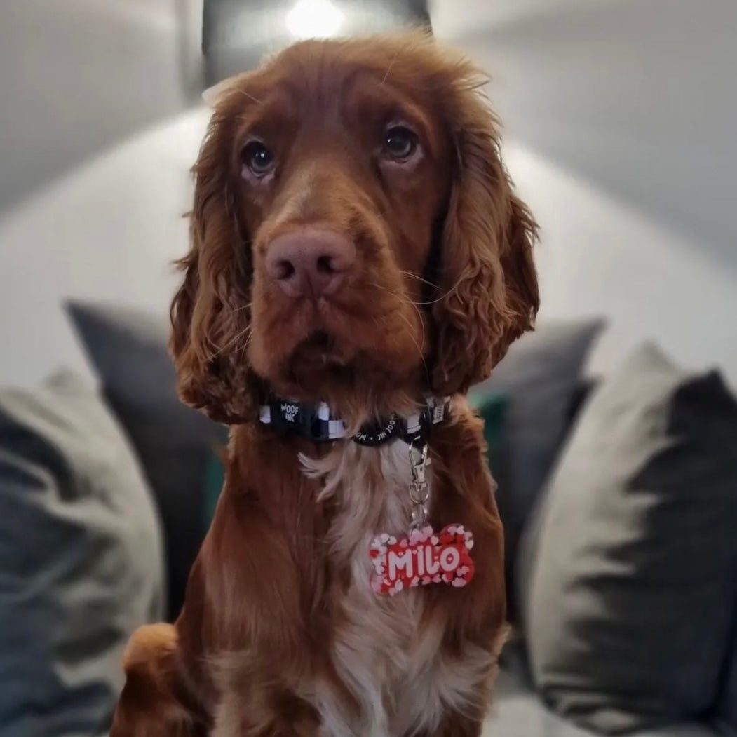 RED HEARTS TAG