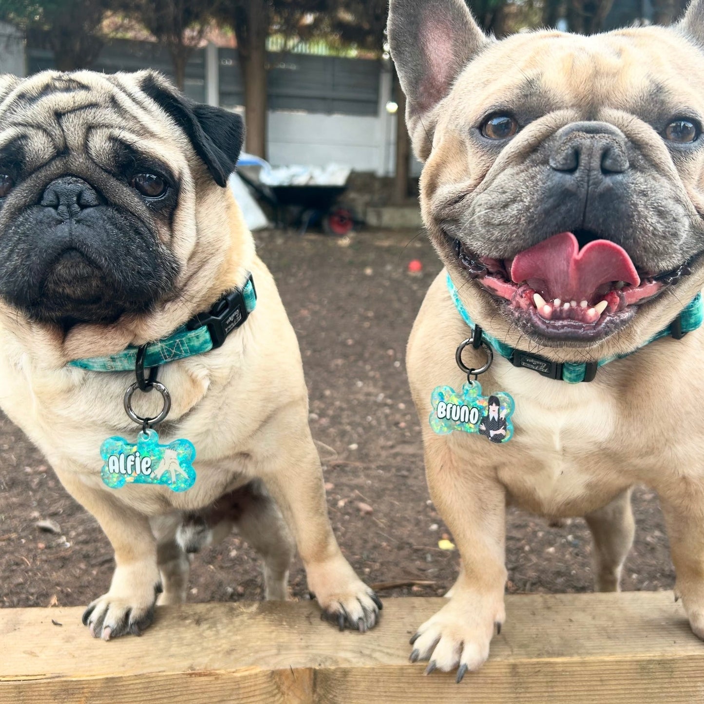 @alfiemoon_brunomars