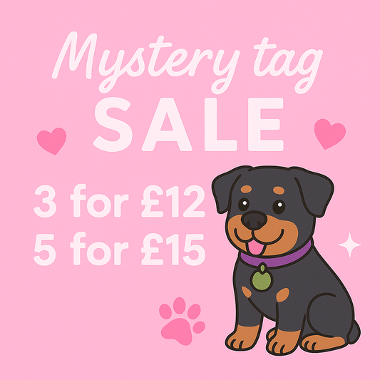 Mystery Dog Tag *SALE*