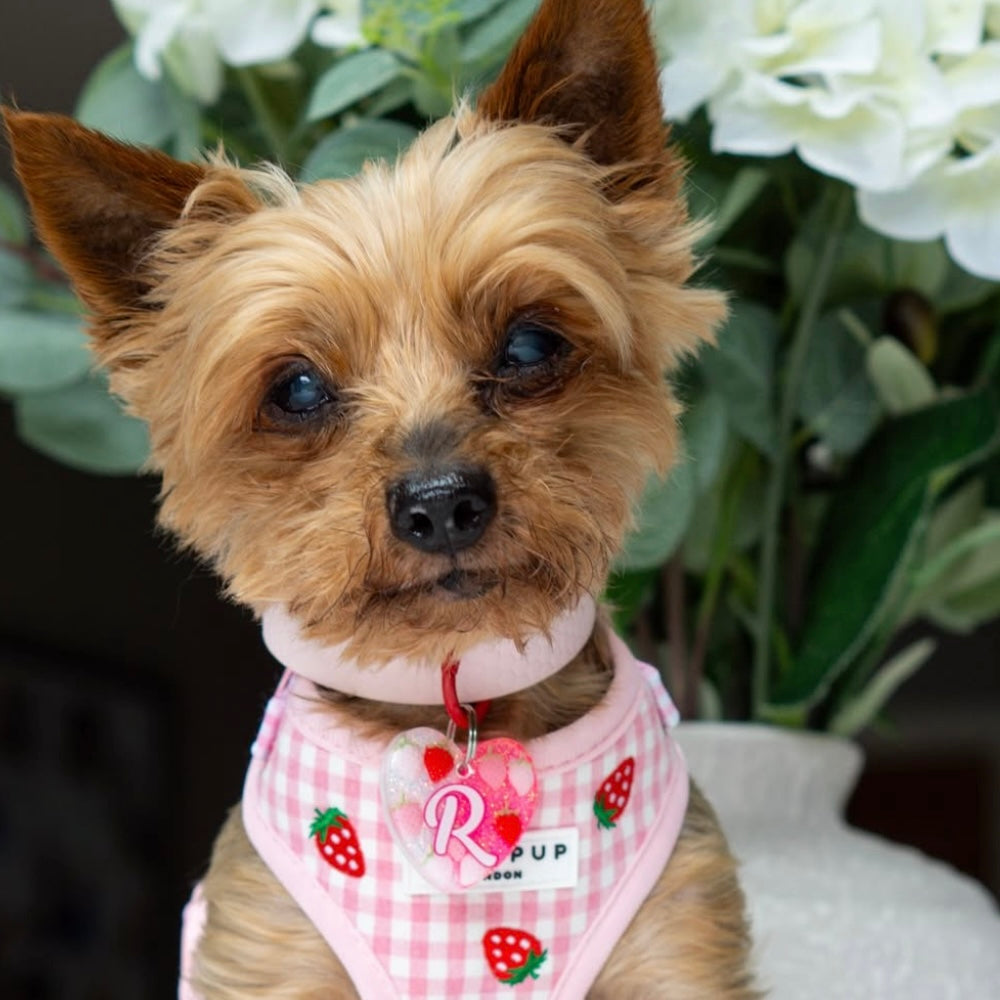 Strawberry Sweetness Tag