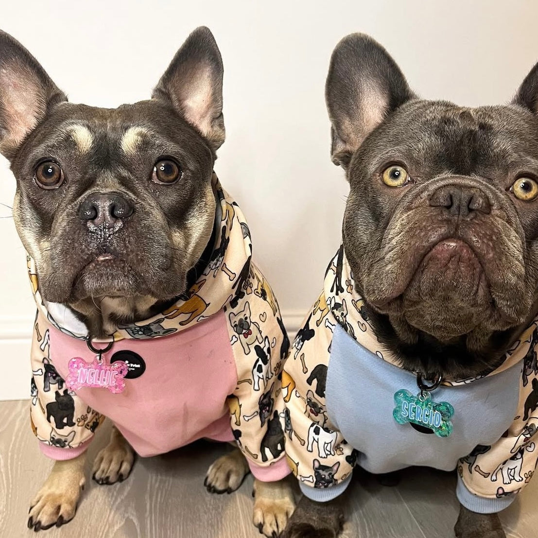 @thetwofrenchiesonadventures