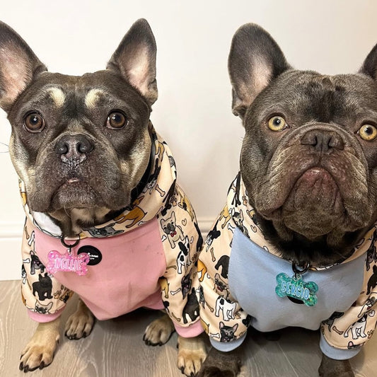 @thetwofrenchiesonadventures