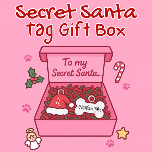 Secret Santa Tag Gift Box