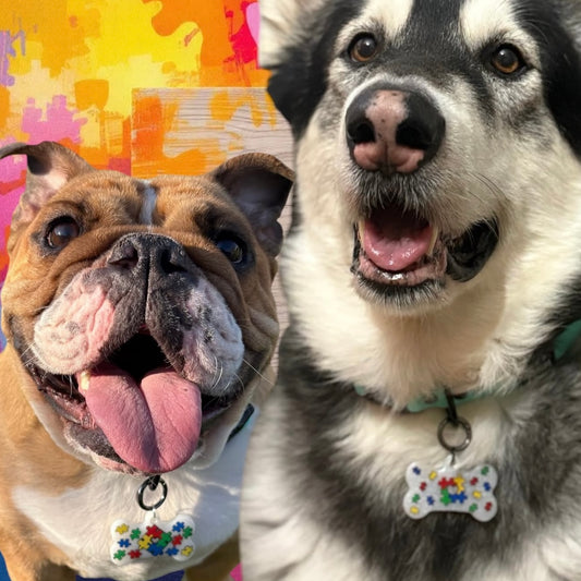 @the_journey_of_hunter_and_ivy