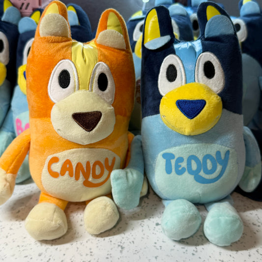 Bluey & Bingo Teddy
