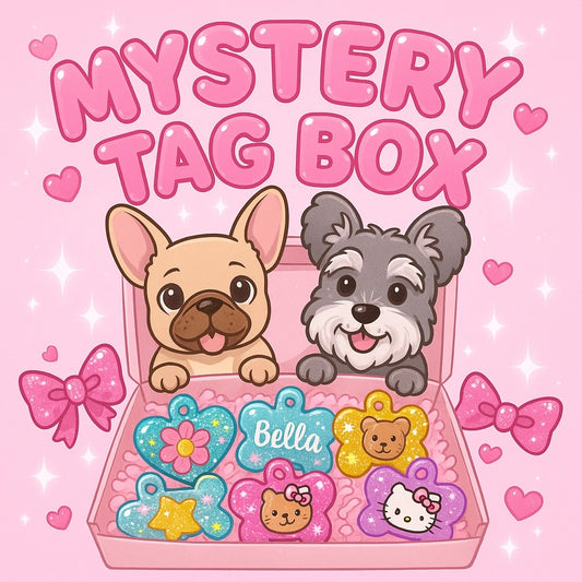 MYSTERY TAG BOX