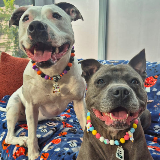 @lexiandthea_staffies