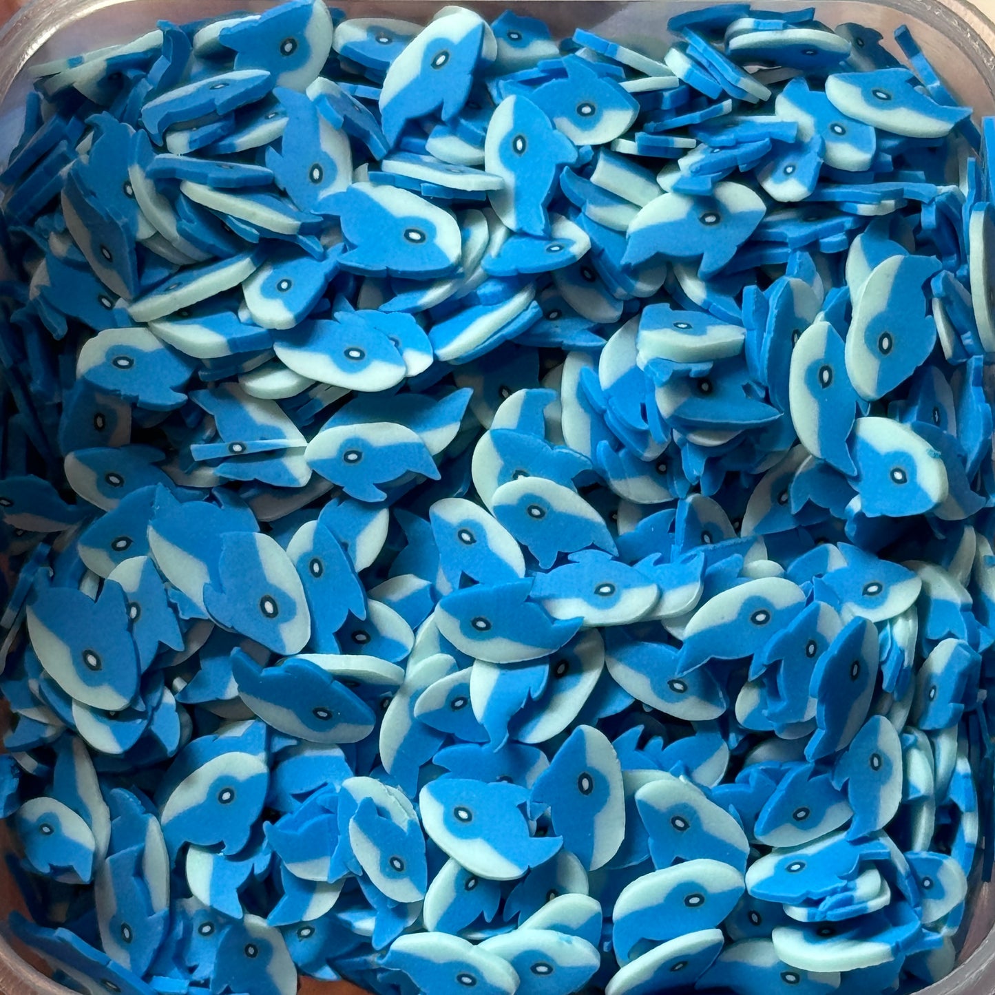 DOLPHIN TAG