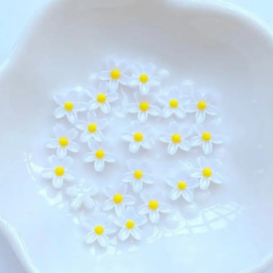 DAISY TAG